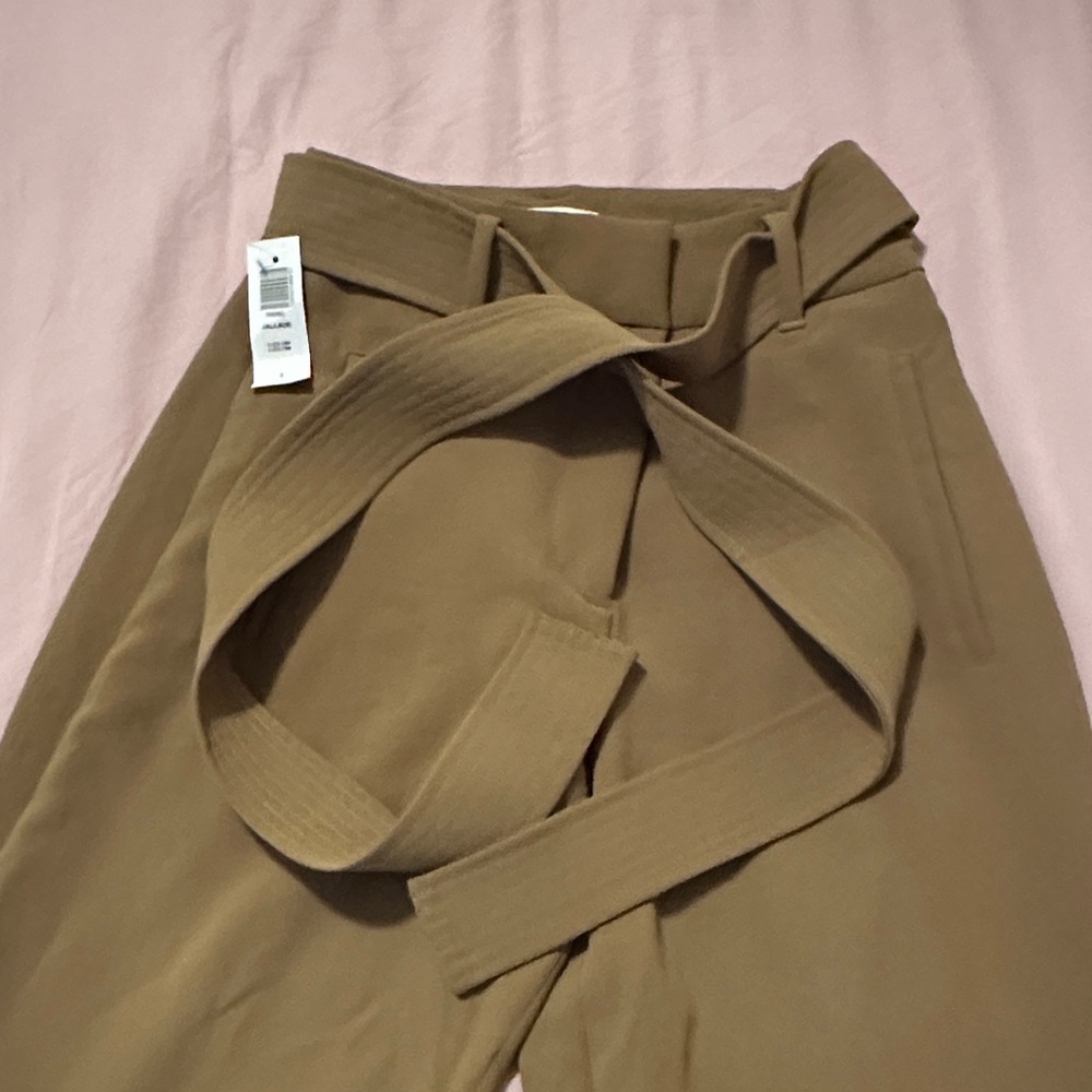 Aritzia Tan Belted Pants